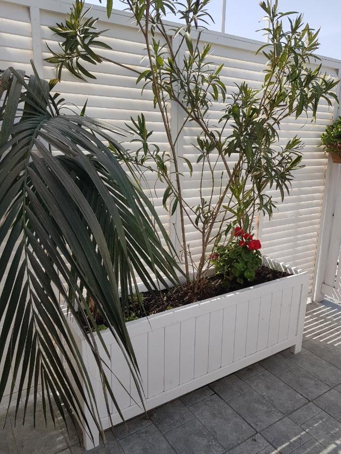 Citrus Boutique Hotel Baku Extérieur photo